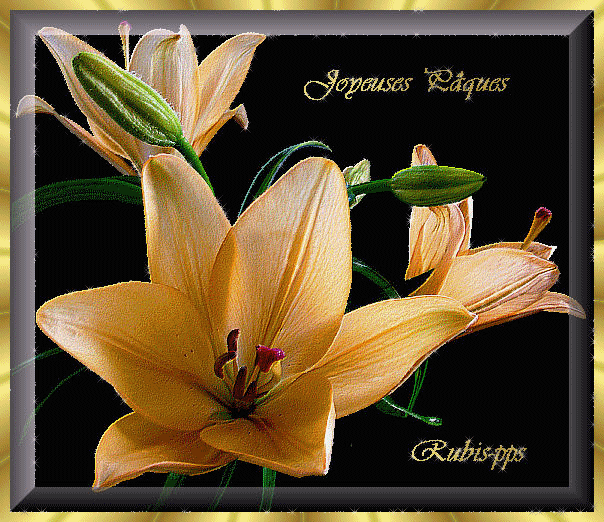 Image h�berg�e par Casimages.com : votre h�bergeur d images simple et gratuit