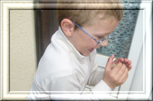 Image hébergée par Casimages.com : votre hébergeur d images simple et gratuit