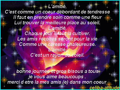 voir l'image en taille réelle