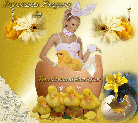 Image h�berg�e par Casimages.com : votre h�bergeur d images simple et gratuit