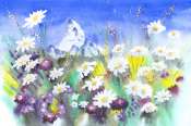 cervin-fleurs