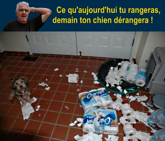 http://nsm01.casimages.com/img/2009/04/16/090416060554508193491116.jpg