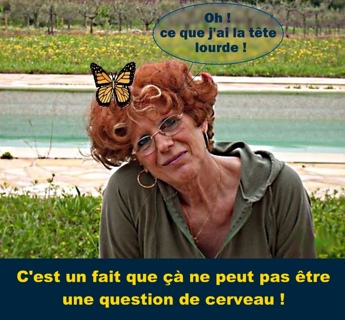 http://nsm01.casimages.com/img/2009/04/16/090416060558508193491117.jpg