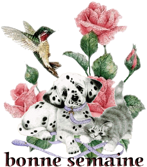 Image hébergée par Casimages.com : votre hébergeur d images simple et gratuit