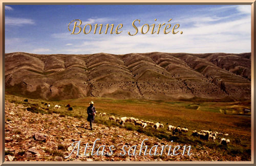 voir l'image en taille réelle