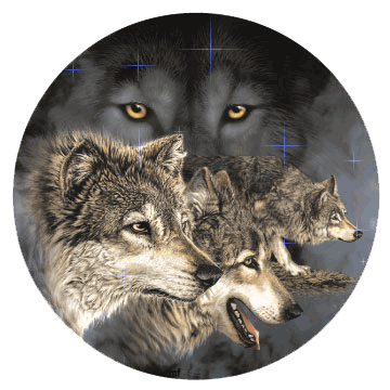 Image hébergée par Casimages.com : votre hébergeur d images simple et gratuit