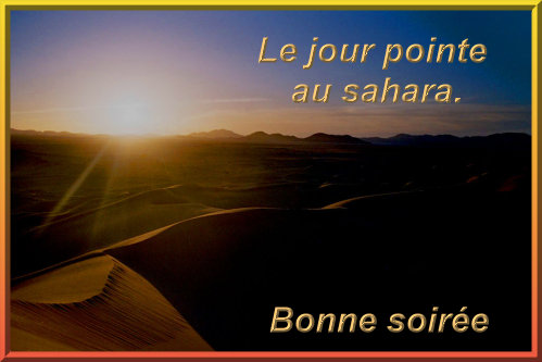 voir l'image en taille réelle