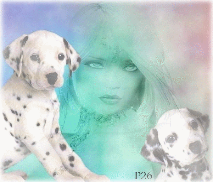 Bienvenue chez Manie93