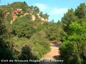 Coll de Roques Roges - ES-B- 385 mètres