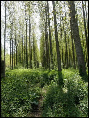 Image hébergée par Casimages.com : votre hébergeur d images simple et gratuit