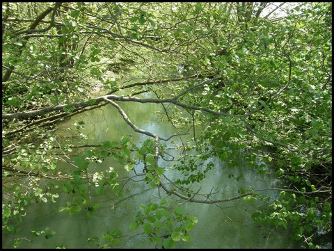 Image hébergée par Casimages.com : votre hébergeur d images simple et gratuit