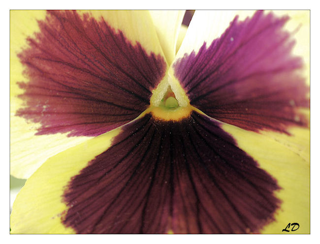 Image hébergée par Casimages.com : votre hébergeur d images simple et gratuit