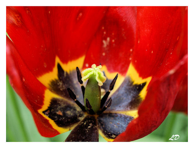 Image hébergée par Casimages.com : votre hébergeur d images simple et gratuit