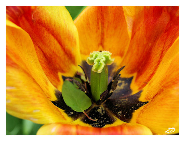Image hébergée par Casimages.com : votre hébergeur d images simple et gratuit