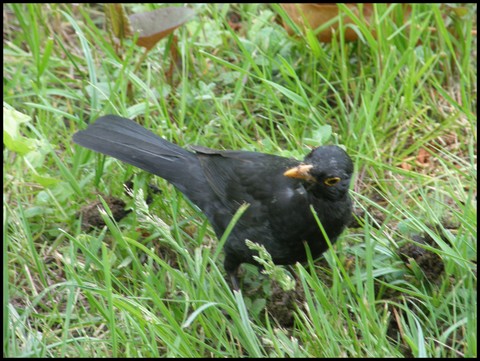 Image hébergée par Casimages.com : votre hébergeur d images simple et gratuit