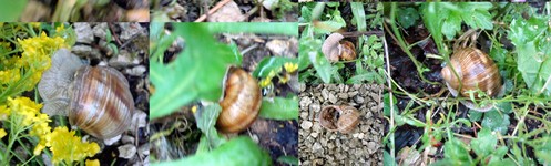 Image hébergée par Casimages.com : votre hébergeur d images simple et gratuit