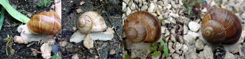 Image hébergée par Casimages.com : votre hébergeur d images simple et gratuit