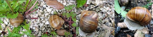 Image hébergée par Casimages.com : votre hébergeur d images simple et gratuit