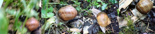 Image hébergée par Casimages.com : votre hébergeur d images simple et gratuit