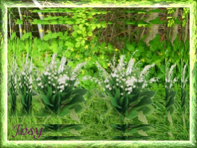 Image hébergée par Casimages.com : votre hébergeur d images simple et gratuit
