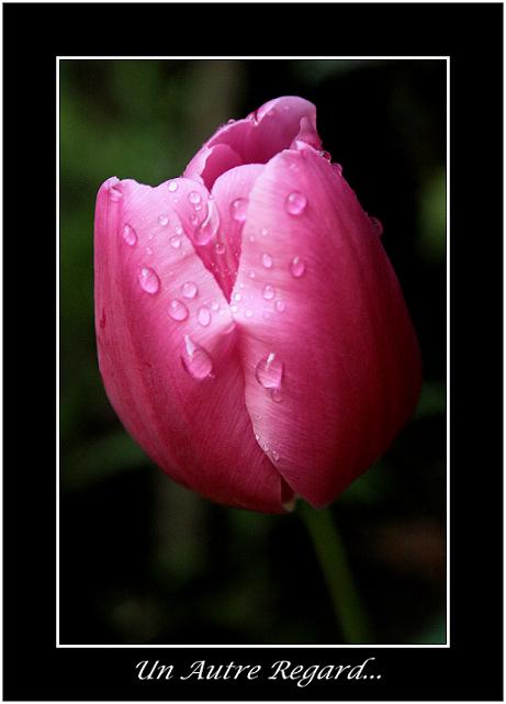 Image hébergée par Casimages.com : votre hébergeur d images simple et gratuit