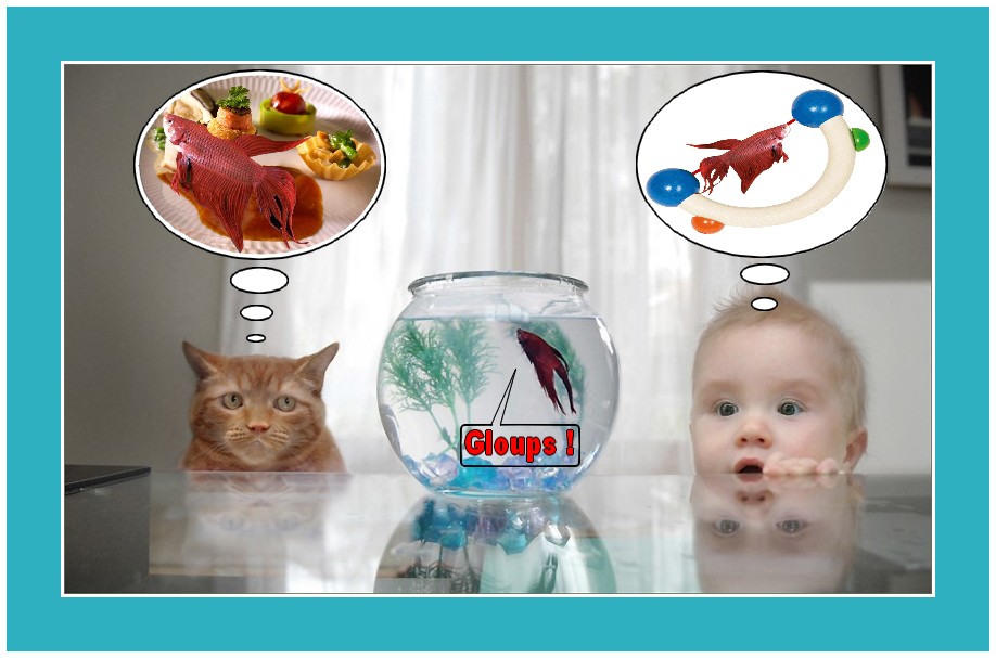 Image hébergée par Casimages.com : votre hébergeur d images simple et gratuit