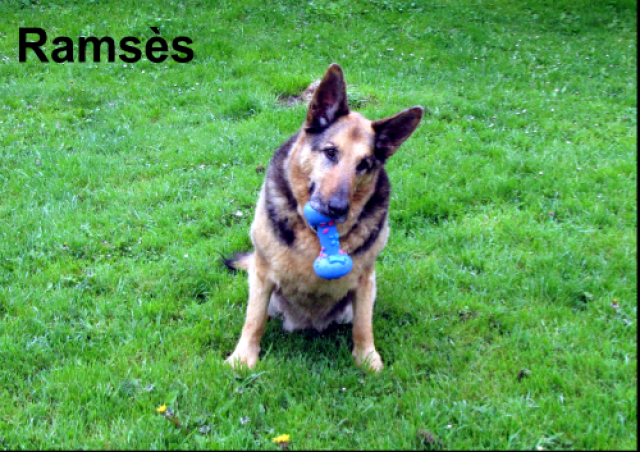 Image h�berg�e par Casimages.com : votre h�bergeur d images simple et gratuit