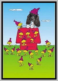 Image hébergée par Casimages.com : votre hébergeur d images simple et gratuit