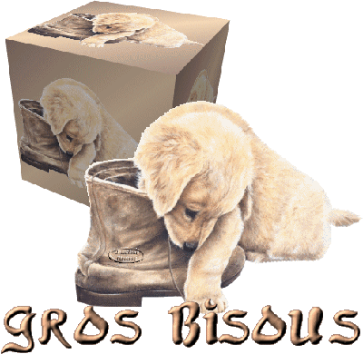 Image hébergée par Casimages.com : votre hébergeur d images simple et gratuit