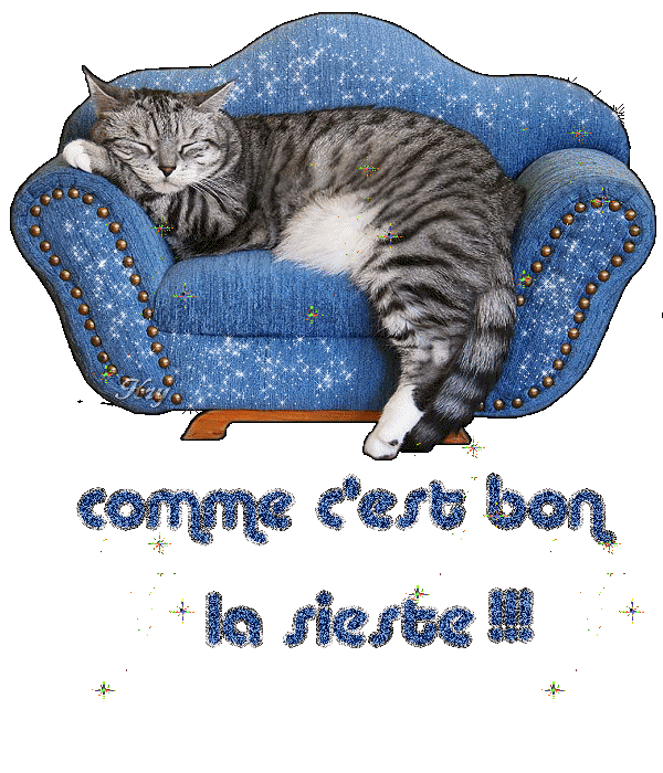 Image hébergée par Casimages.com : votre hébergeur d images simple et gratuit