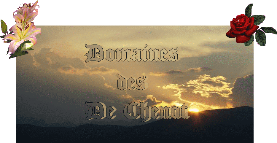Les Domaines de Chenot