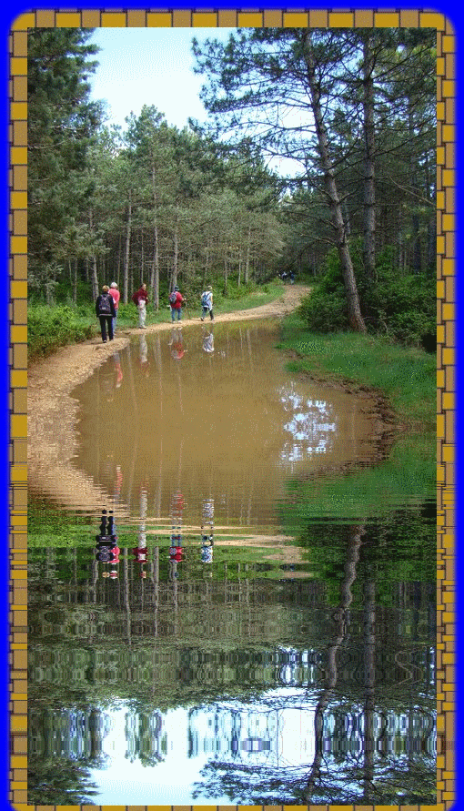 Image hébergée par Casimages.com : votre hébergeur d images simple et gratuit