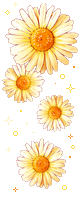 Image hébergée par Casimages.com : votre hébergeur d images simple et gratuit