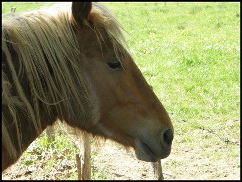 Image hébergée par Casimages.com : votre hébergeur d images simple et gratuit