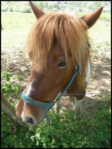 Image hébergée par Casimages.com : votre hébergeur d images simple et gratuit