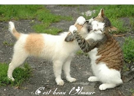 Image h�berg�e par Casimages.com : votre h�bergeur d images simple et gratuit