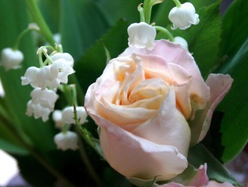 Image hébergée par Casimages.com : votre hébergeur d images simple et gratuit