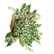 Image hébergée par Casimages.com : votre hébergeur d images simple et gratuit