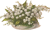Image hébergée par Casimages.com : votre hébergeur d images simple et gratuit