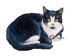http://nsm01.casimages.com/img/2009/05/01//090501050834486753578617.gif