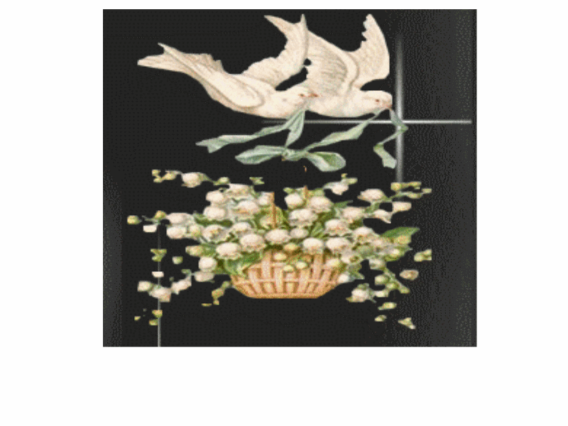 Image hébergée par Casimages.com : votre hébergeur d images simple et gratuit