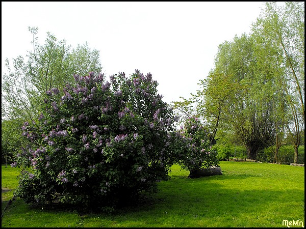 Image hébergée par Casimages.com : votre hébergeur d images simple et gratuit