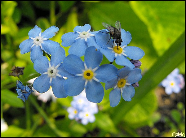 Image hébergée par Casimages.com : votre hébergeur d images simple et gratuit