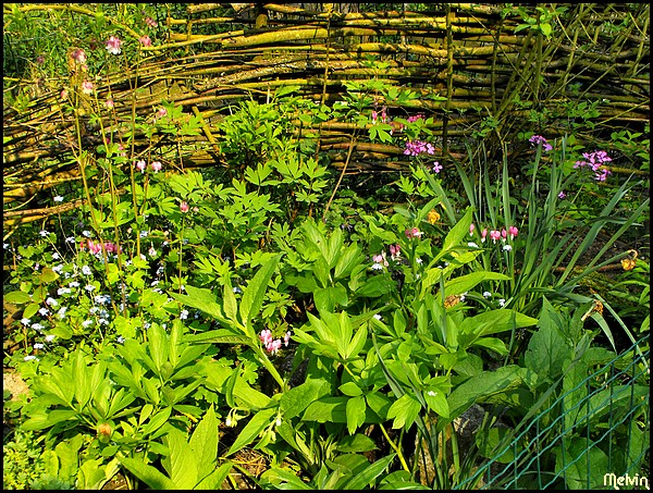 Image hébergée par Casimages.com : votre hébergeur d images simple et gratuit