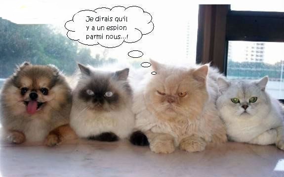 Image h�berg�e par Casimages.com : votre h�bergeur d images simple et gratuit