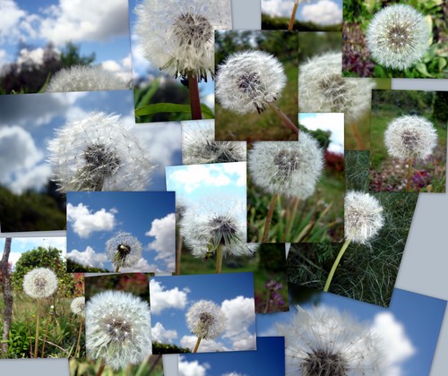 Image hébergée par Casimages.com : votre hébergeur d images simple et gratuit