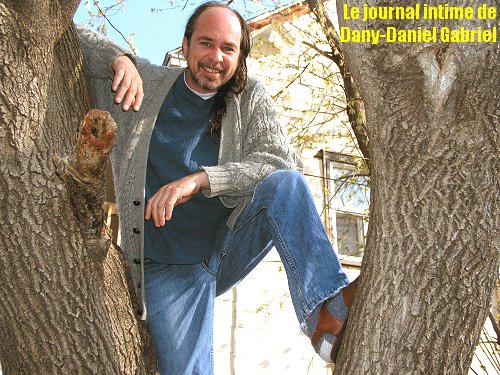 blogue arbre dany daniel gabriel