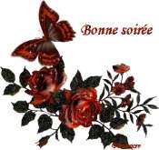 Cliquez pour afficher l'image en taille r�elle