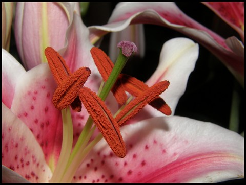 Image hébergée par Casimages.com : votre hébergeur d images simple et gratuit