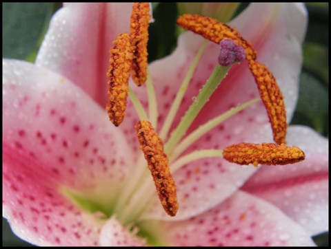 Image hébergée par Casimages.com : votre hébergeur d images simple et gratuit